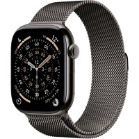 Смарт часы Apple Watch Series 11 GPS + Cellular 46mm Slate Tit. Case w. Slate Milanese Loop - M/L (MFD44RK/A)