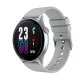 Смарт часы Proove Quantum Silver (SWQU00000006)