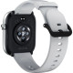 Смарт часы Mibro Watch C4 Silver XPAW021