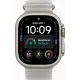 Смарт часы Apple Watch Ultra 4 GPS + Cellular 49mm Natural Titanium Case with Translucent Grey Ocean Band (MJAD4QI/A)