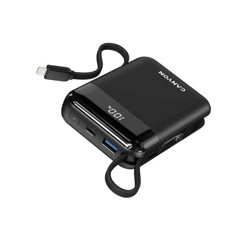 Портативное зарядное устройство (павербанк) Canyon OnPower 104 10000mAh Black (CNS-CPB104B)