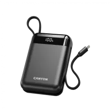 Портативное зарядное устройство (павербанк) Canyon OnPower 204 20000mAh Black (CNS-CPB204B)