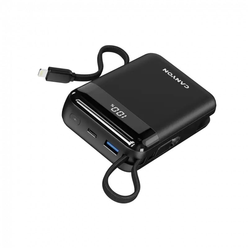 Портативное зарядное устройство (павербанк) Canyon OnPower 204 20000mAh Black (CNS-CPB204B)