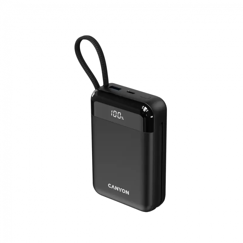 Портативное зарядное устройство (павербанк) Canyon OnPower 204 20000mAh Black (CNS-CPB204B)