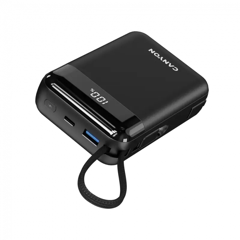 Портативное зарядное устройство (павербанк) Canyon OnPower 204 20000mAh Black (CNS-CPB204B)