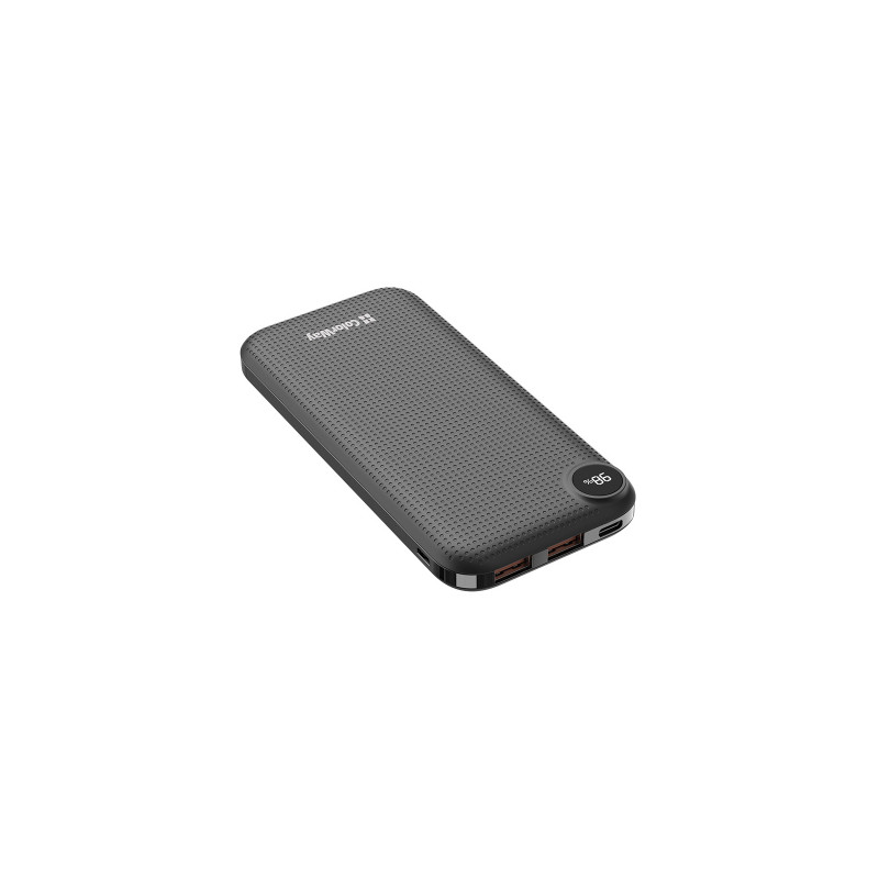 ColorWay LCD 10000mAh Black (CW-PB100LPI3BK-PDD)
