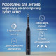 BRAUN Oral-B iO Series 2 iOS2.1C9.0 Black