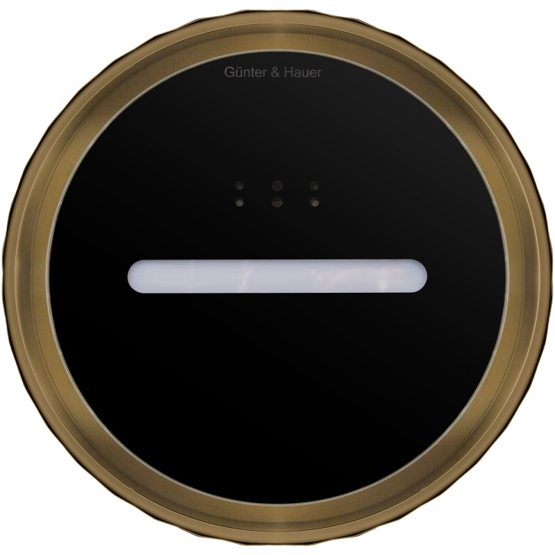 Витяжка Gunter&Hauer MARGARETTE 3D WALL SD