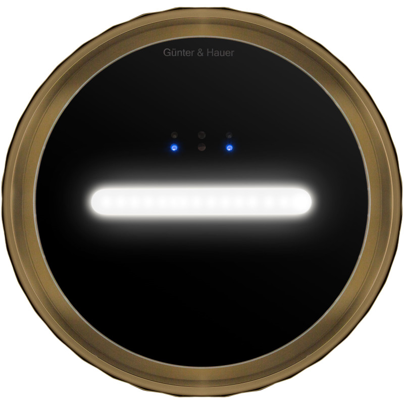 Витяжка Gunter&Hauer MARGARETTE 3D WALL SD