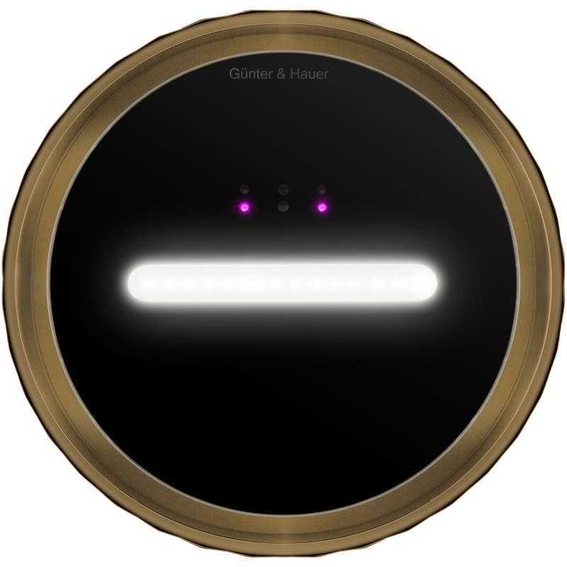 Витяжка Gunter&Hauer MARGARETTE 3D WALL SD