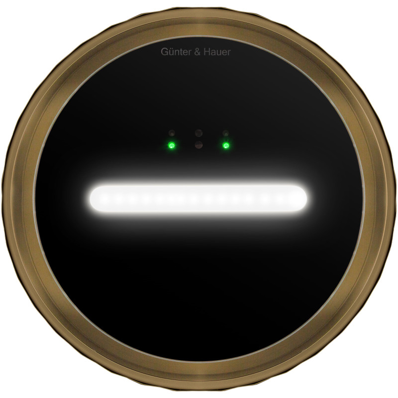 Витяжка Gunter&Hauer MARGARETTE 3D WALL SD