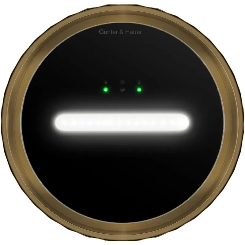 Вытяжка Gunter&Hauer MARGARETTE 3D WALL SD