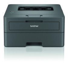 Brother HL-L2402D (HLL2402DYJ1)