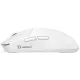 Комп'ютерна миша Bloody SG5 (White)