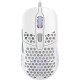 Xtrfy M42 RGB White (XG-M42-RGB-WHITE)
