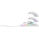 Xtrfy M42 RGB White (XG-M42-RGB-WHITE)