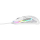 Xtrfy M42 RGB White (XG-M42-RGB-WHITE)
