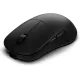 Компьютерная мышь Endgame Gear XM2w 4k v2 Wireless Black (PGW-EG-MOU-079)