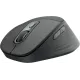 Компьютерная мышь Logitech Signature Comfort Plus M850 L for Business Wireless/Bluetooth Graphite (910-007704)