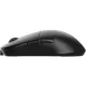 Компьютерная мышь Endgame Gear XM2we Wireless Black (PGW-EG-MOU-020)