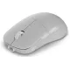 Компьютерная мышь Endgame Gear XM2w 4k v2 Wireless White Frost (PGW-EG-MOU-082)