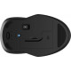 Комп'ютерна миша HP 255 Black (8R3U1UT)
