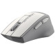 Компьютерная мышь A4Tech Fstyler FG30S Wireless Grey/White