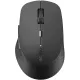 Комп'ютерна миша Rapoo  M300 Silent