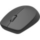 Rapoo  M100 Silent