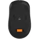 Компьютерная мышь A4Tech Fstyler FB10CS Stone Black