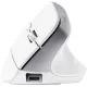 Компьютерная мышь Trust Bayo+ Multidevice Ergonomic White (25399_TRUST)