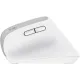 Компьютерная мышь Trust Bayo+ Multidevice Ergonomic White (25399_TRUST)