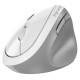 Компьютерная мышь Genius Ergo 8350S AI Silent Wireless White (31030041401)