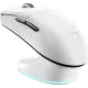 Комп'ютерна миша Thunderobot ML903mini Tri-mode Nearlink White (6932066312923)
