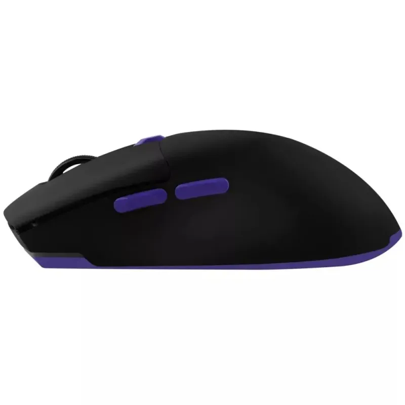 Компьютерная мышь Proove Rate Special Edition Black (CMRTWRS03001)