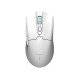 Комп'ютерна миша Thunderobot ML602 SE Dual Mode wireless (ML602SE)