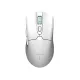 Комп'ютерна миша Thunderobot ML602 SE Dual Mode wireless (ML602SE)
