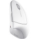 Trust Verto Wireless vertical ergonomic mouse (25132)