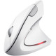 Trust Verto Wireless vertical ergonomic mouse (25132)