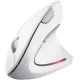 Комп'ютерна миша Trust Verto Wireless vertical ergonomic mouse (25132)