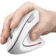 Комп'ютерна миша Trust Verto Wireless vertical ergonomic mouse (25132)
