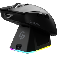 Компьютерная мышь GamePro GM167B