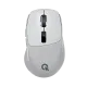 Комп'ютерна миша OfficePro M398G
