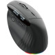 Компьютерная мышь Acer Smart Fit Vertical Black (HP.EXPBG.020)