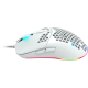 Canyon Puncher White (CND-SGM11W)