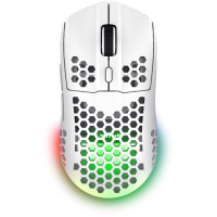 Комп'ютерна миша Trust GXT 929 Helox White (25390)