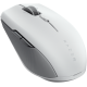 Razer Pro Click mini White/Gray (RZ01-03990100-R3G1)