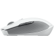 Razer Pro Click mini White/Gray (RZ01-03990100-R3G1)
