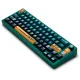 Клавиатура Thunderobot VIC68 TTC Ultra RGB King Magnetic Switch USB Parrot Green (6932066320188)