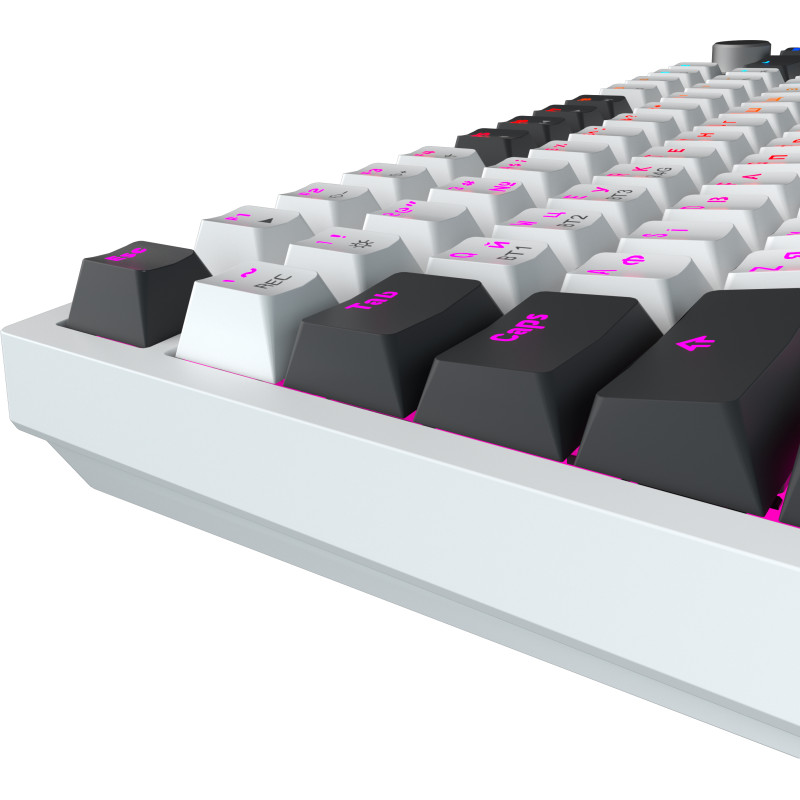 Клавіатура GamePro MK160D Pro QLAB Sakura Switch White